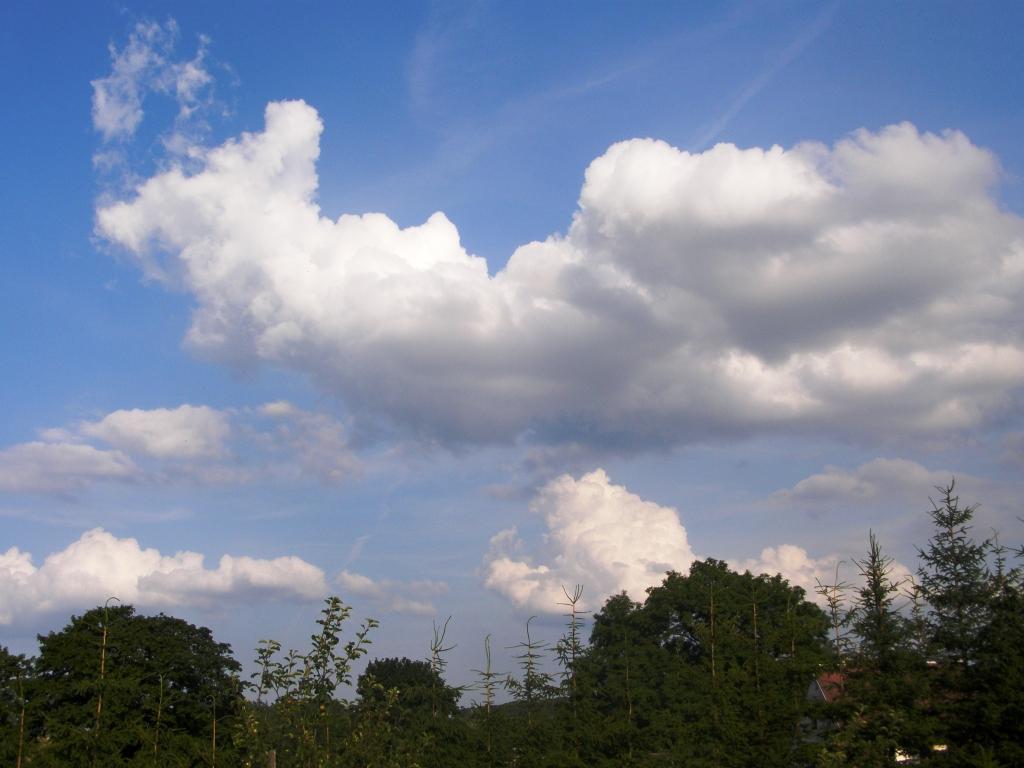 Světlá  Hora